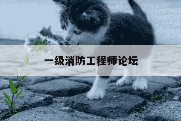 一级消防工程师论坛-一级消防工程师讲义下载-第1张图片-学习推荐网 一级消防工程师论坛-一级消防工程师讲义下载-第1张图片-学习推荐网