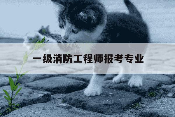 一级消防工程师报考专业-一级消防工程师报考条件-第1张图片-学习推荐网