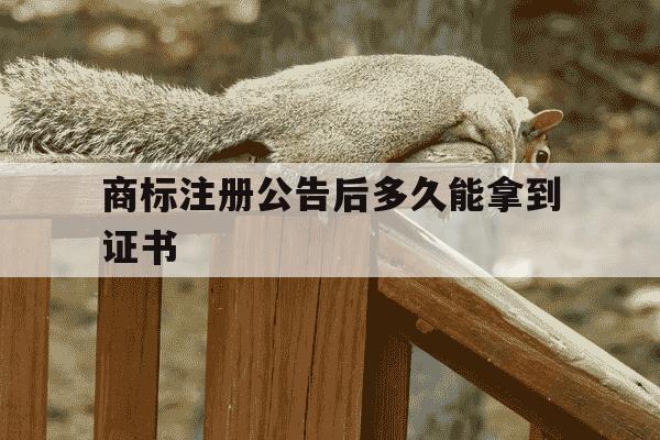 商标注册公告后多久能拿到证书-商标注册公告了是不是就成功了-第1张图片-学习推荐网