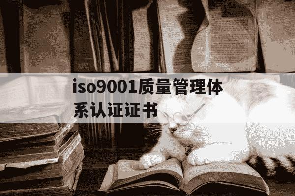 iso9001质量管理体系认证证书-ISO9001质量管理体系认证证书图片-第1张图片-学习推荐网