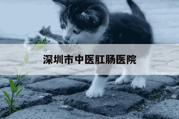 深圳市中医肛肠医院-深圳市中医肠道专科医院-第1张图片-学习推荐网 深圳市中医肛肠医院-深圳市中医肠道专科医院-第1张图片-学习推荐网