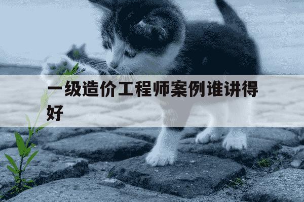 一级造价工程师案例谁讲得好-一级造价工程师案例听谁的-第1张图片-学习推荐网