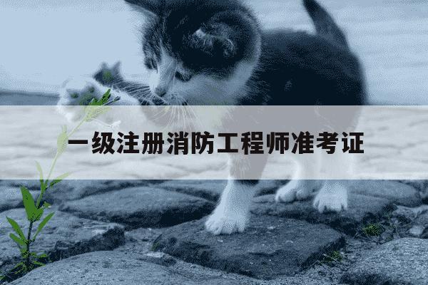 一级注册消防工程师准考证-2021年一级消防工程师考试准考证打印时间-第1张图片-学习推荐网