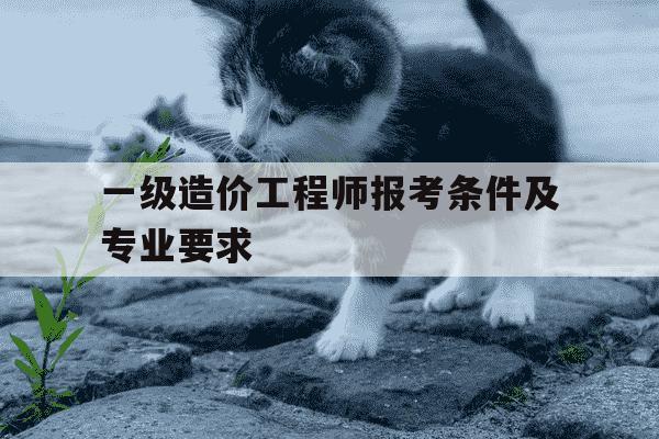 一级造价工程师报考条件及专业要求-一级造价工程师报考条件是什么-第1张图片-学习推荐网 一级造价工程师报考条件及专业要求-一级造价工程师报考条件是什么-第1张图片-学习推荐网