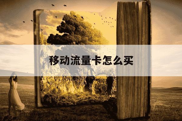 移动流量卡怎么买-移动流量卡怎么买了一个流量包怎么不扣钱-第1张图片-学习推荐网