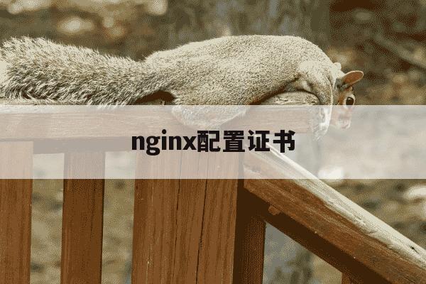 nginx配置证书-nginx配置pem证书-第1张图片-学习推荐网 nginx配置证书-nginx配置pem证书-第1张图片-学习推荐网