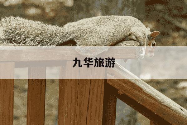 九华旅游-九华旅游目标价-第1张图片-学习推荐网 九华旅游-九华旅游目标价-第1张图片-学习推荐网