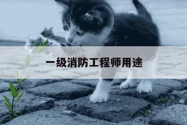 一级消防工程师用途-一级消防工程师用途及费用-第1张图片-学习推荐网 一级消防工程师用途-一级消防工程师用途及费用-第1张图片-学习推荐网