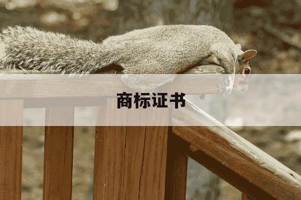 商标证书-商标证书电子版下载-第1张图片-学习推荐网 商标证书-商标证书电子版下载-第1张图片-学习推荐网