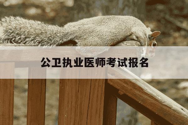 公卫执业医师考试报名-公卫执业医师考试报名网站-第1张图片-学习推荐网 公卫执业医师考试报名-公卫执业医师考试报名网站-第1张图片-学习推荐网