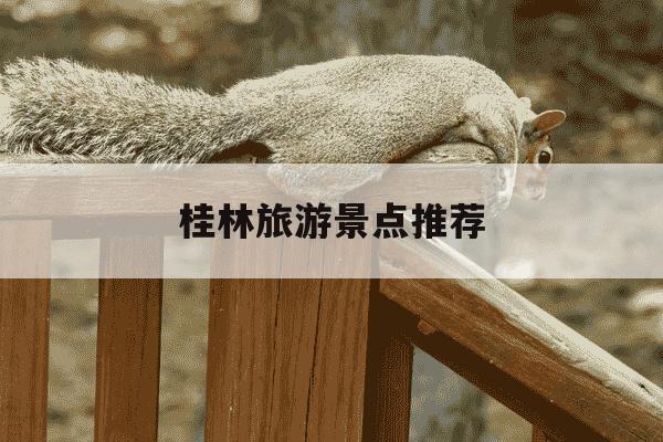 桂林旅游景点推荐-桂林旅游景点推荐免费一日游-第1张图片-学习推荐网