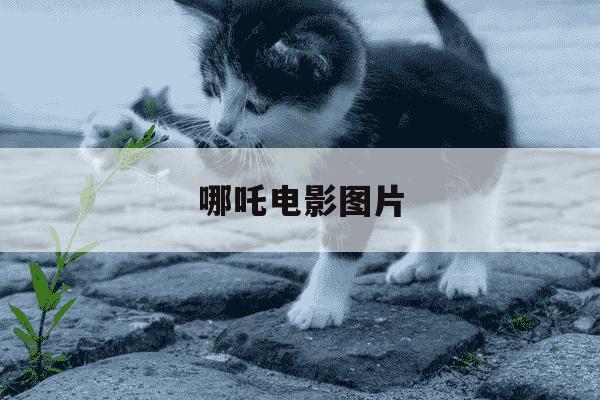 哪吒电影图片-哪吒电影图片大全-第1张图片-学习推荐网