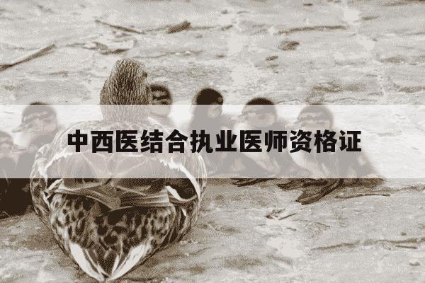中西医结合执业医师资格证-中西医结合执业医师资格证考试科目-第1张图片-学习推荐网