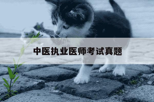 中医执业医师考试真题-中医执业医师考试真题免费-第1张图片-学习推荐网