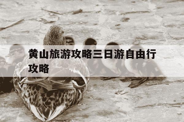 黄山旅游攻略三日游自由行攻略-黄山旅游攻略三日游自由行攻略西安到乌镇多少公里-第1张图片-学习推荐网