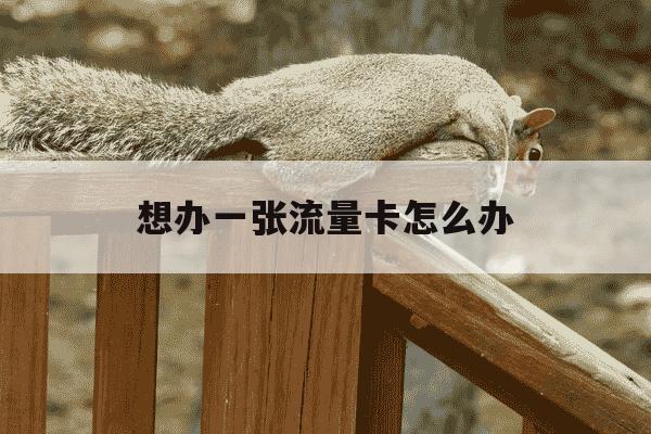 想办一张流量卡怎么办-我想办一张流量卡-第1张图片-学习推荐网