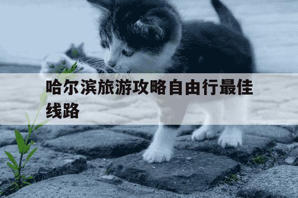 哈尔滨旅游攻略自由行最佳线路-哈市周边6个最美古镇-第1张图片-学习推荐网 哈尔滨旅游攻略自由行最佳线路-哈市周边6个最美古镇-第1张图片-学习推荐网