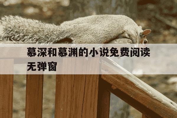 慕深和慕渊的小说免费阅读无弹窗-慕渊临童阮阮全文免费阅读-第1张图片-学习推荐网