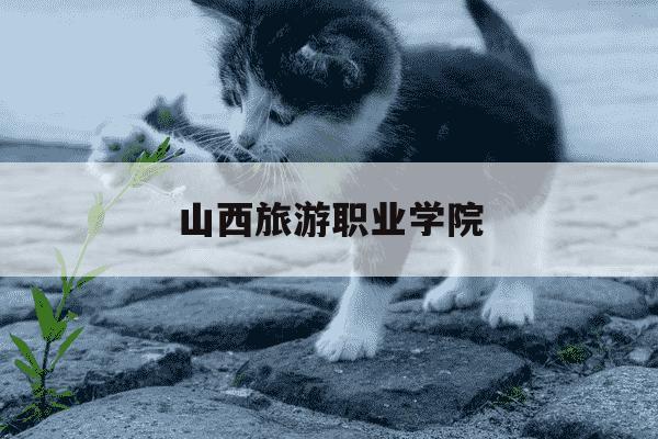 山西旅游职业学院-山西旅游职业学院宿舍-第1张图片-学习推荐网