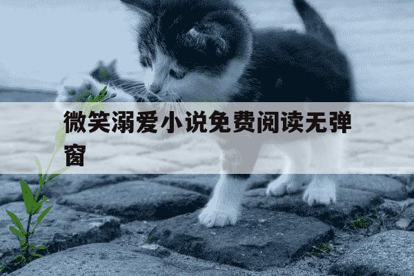 微笑溺爱小说免费阅读无弹窗-微笑原文-第1张图片-学习推荐网 微笑溺爱小说免费阅读无弹窗-微笑原文-第1张图片-学习推荐网