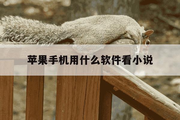 苹果手机用什么软件看小说-iphone用什么软件看小说-第1张图片-学习推荐网