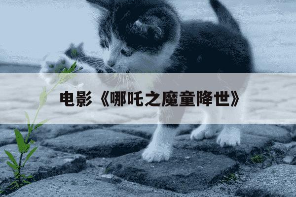 电影《哪吒之魔童降世》-电影哪吒之魔童降世2-第1张图片-学习推荐网