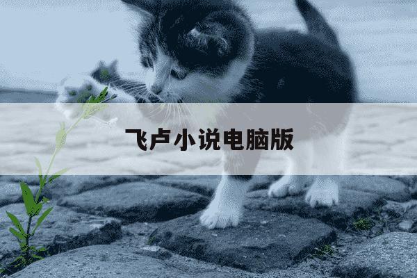 飞卢小说电脑版-电脑飞卢小说网-第1张图片-学习推荐网