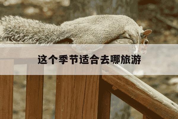 这个季节适合去哪旅游-这个季节适合去哪旅游英语-第1张图片-学习推荐网