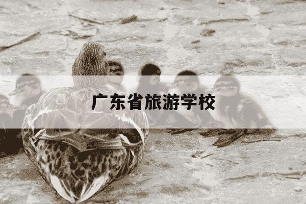 广东省旅游学校-广东省旅游学校官网-第1张图片-学习推荐网
