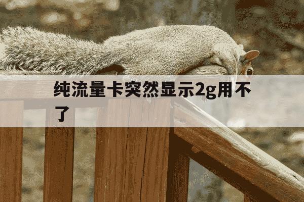 纯流量卡突然显示2g用不了-纯流量卡显示2g不能上网怎么办-第1张图片-学习推荐网 纯流量卡突然显示2g用不了-纯流量卡显示2g不能上网怎么办-第1张图片-学习推荐网