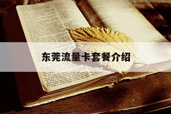 东莞流量卡套餐介绍-东莞流量卡哪个比较好-第1张图片-学习推荐网