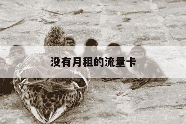 没有月租的流量卡-没有月租的流量卡可以用吗-第1张图片-学习推荐网