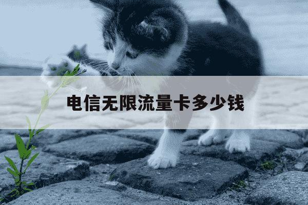 电信无限流量卡多少钱-电信无限流量卡可以用多久-第1张图片-学习推荐网