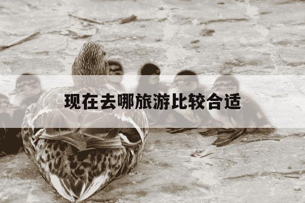 现在去哪旅游比较合适-现在去哪旅游最好-第1张图片-学习推荐网