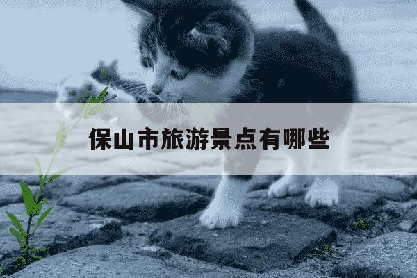 保山市旅游景点有哪些-保山市旅游景点有哪些地方-第1张图片-学习推荐网