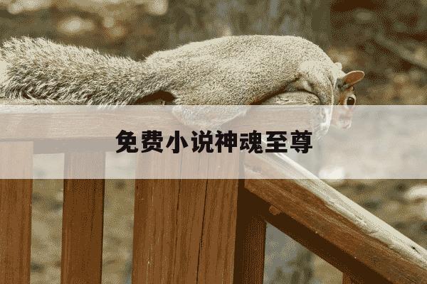 免费小说神魂至尊-小说神魂至尊最新章节免费阅读-第1张图片-学习推荐网