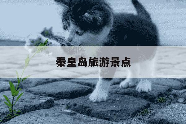 秦皇岛旅游景点-秦皇岛旅游景点有哪些地方-第1张图片-学习推荐网 秦皇岛旅游景点-秦皇岛旅游景点有哪些地方-第1张图片-学习推荐网