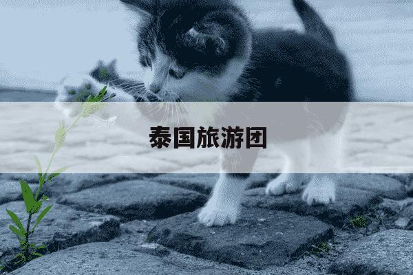 泰国旅游团-泰国旅游团宣布暂停泰国旅游了吗-第1张图片-学习推荐网