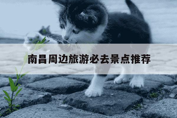 南昌周边旅游必去景点推荐-南昌最漂亮三个古镇-第1张图片-学习推荐网