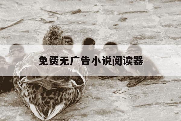 免费无广告小说阅读器-无广告的免费阅读器-第1张图片-学习推荐网
