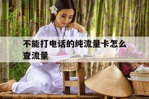 不能打电话的纯流量卡怎么查流量-不可以打电话的流量卡怎么查号码-第1张图片-学习推荐网