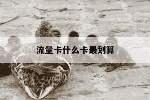 流量卡什么卡最划算-流量卡什么好一点-第1张图片-学习推荐网 流量卡什么卡最划算-流量卡什么好一点-第1张图片-学习推荐网