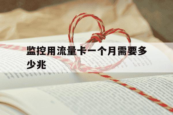 监控用流量卡一个月需要多少兆-监控流量卡一年要多少钱-第1张图片-学习推荐网