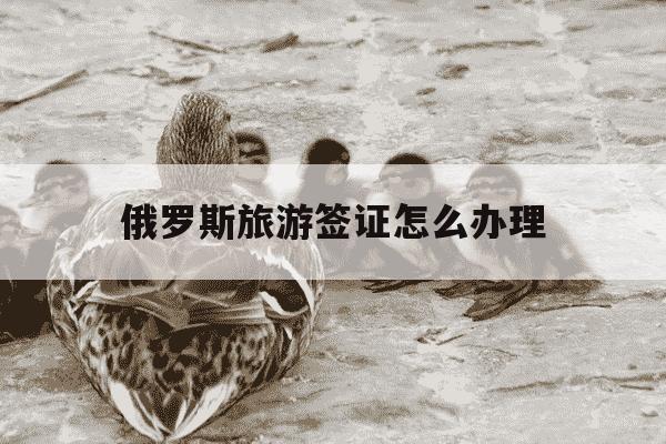 俄罗斯旅游签证怎么办理-俄罗斯旅游签证怎么办理一般多少钱-第1张图片-学习推荐网