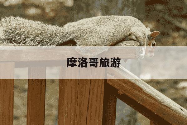 摩洛哥旅游-摩洛哥旅游团报价-第1张图片-学习推荐网