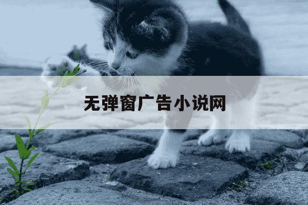 无弹窗广告小说网-无弹窗广告小说网相公,今天你屁股又痒了-第1张图片-学习推荐网