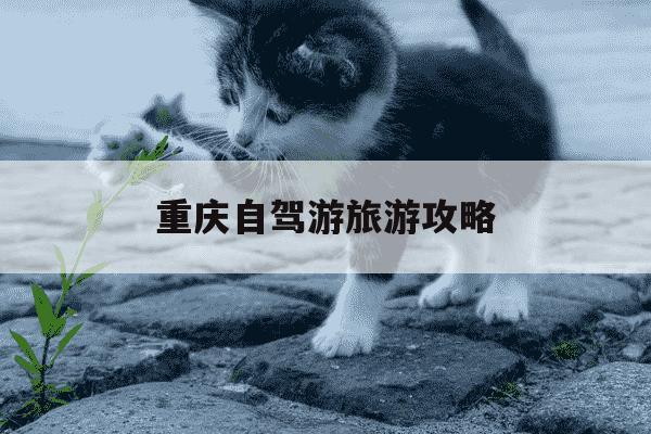 重庆自驾游旅游攻略-重庆自驾游旅游攻略及费用-第1张图片-学习推荐网