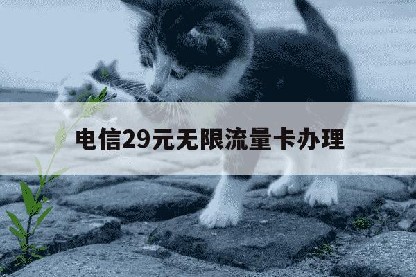 电信29元无限流量卡办理-电信29元无限流量卡套餐介绍-第1张图片-学习推荐网