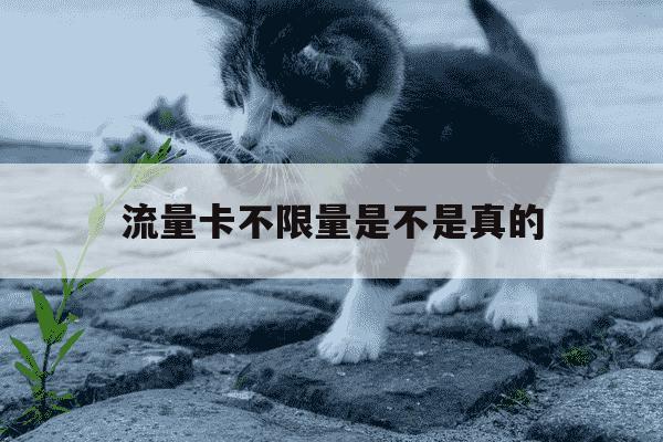 流量卡不限量是不是真的-不限量流量卡可以买流量包吗-第1张图片-学习推荐网