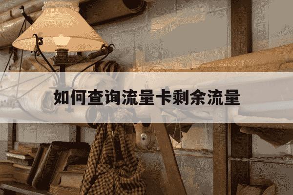 如何查询流量卡剩余流量-查询流量卡剩余流量后如何处理结果?-第1张图片-学习推荐网
